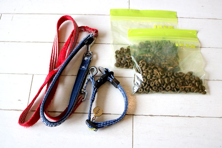 持ちものイメージ